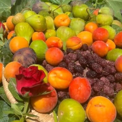 Azighame Tourist Complex