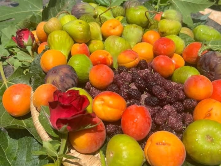 Azighame Tourist Complex Azighame Tourist Complex