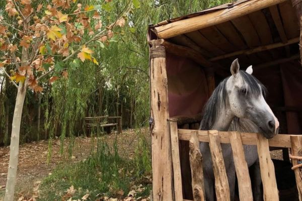 Discover Experiences at Azighame (2)